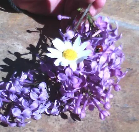 Villapetramarina * Tsakei